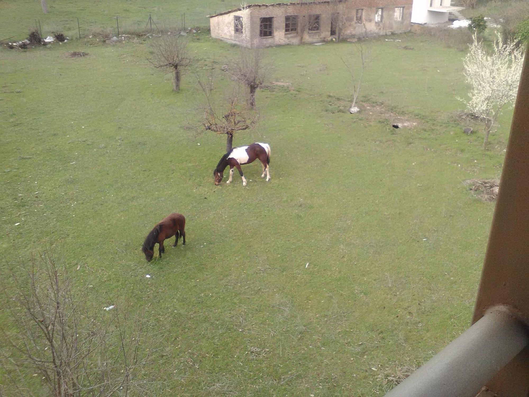 To Spiti Tis Irinis Otel Vytina Dış mekan fotoğraf