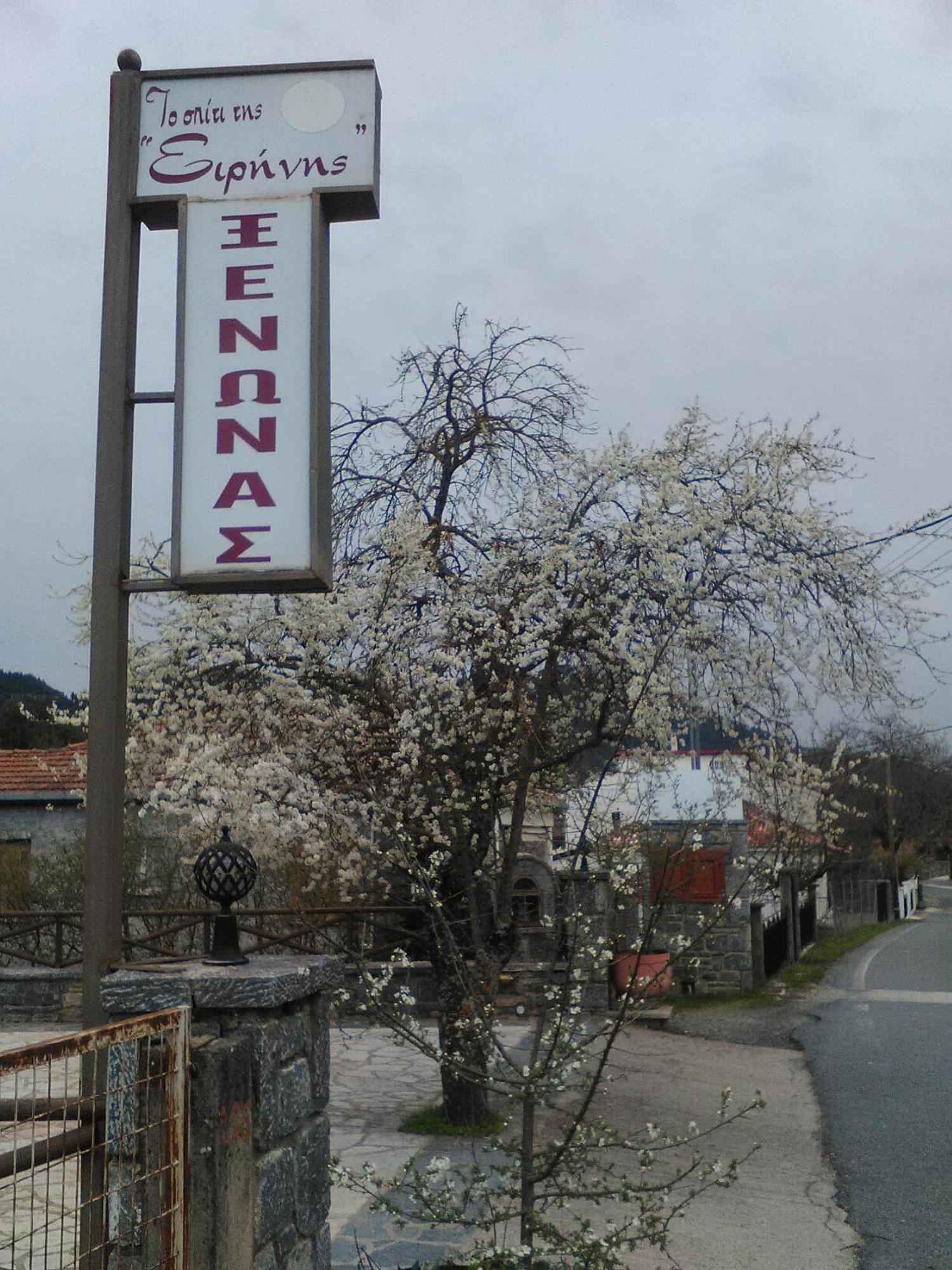 To Spiti Tis Irinis Otel Vytina Dış mekan fotoğraf